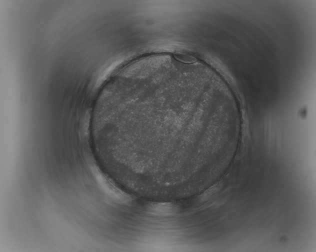 X0000111160058200907211236