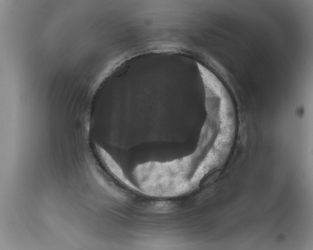 X0000111160059200907211236