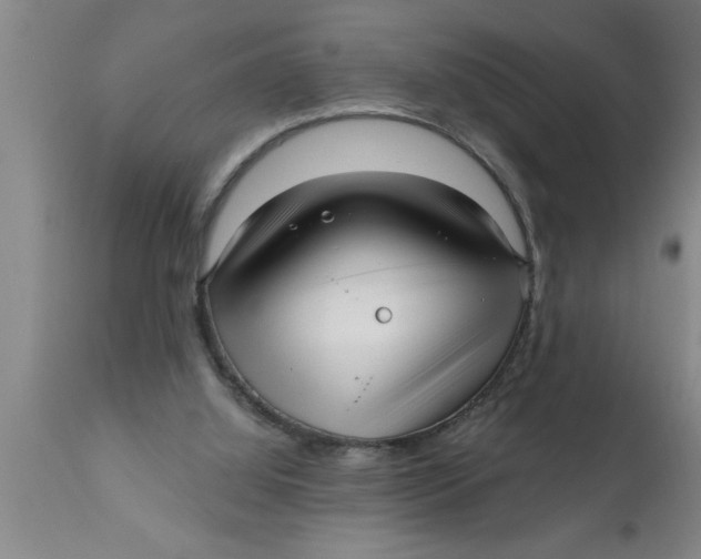 X0000111160060200907211236