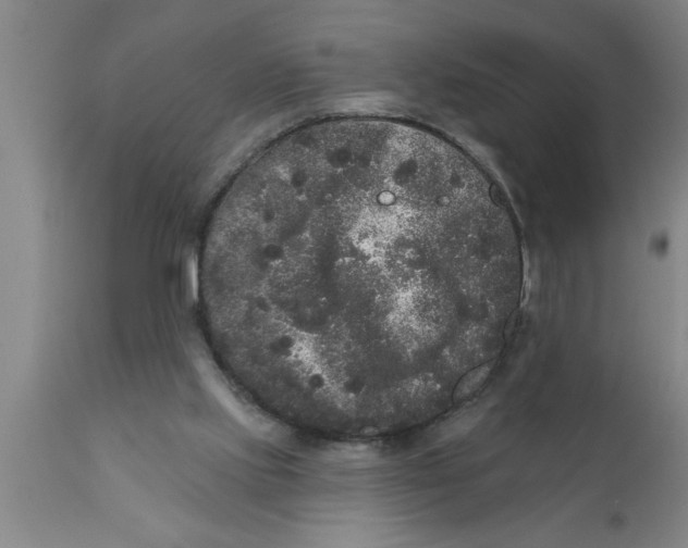 X0000111160061200907211236