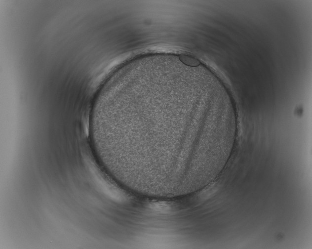 X0000111160062200907211236