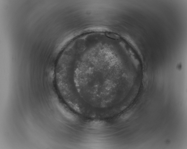 X0000111160063200907211236