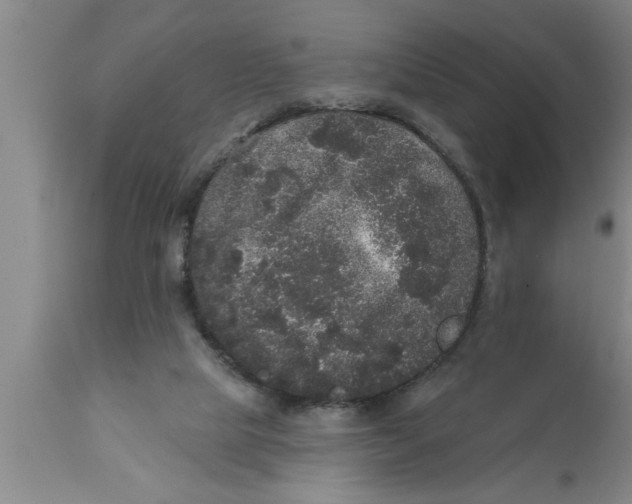 X0000111160065200907211236