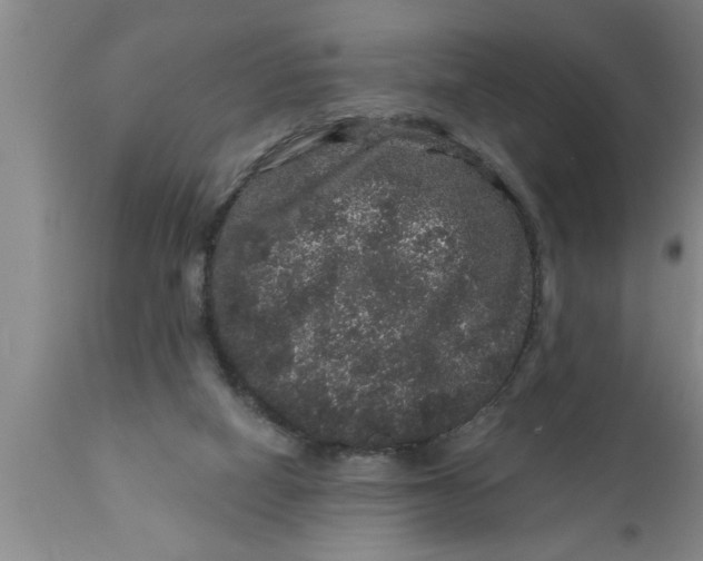 X0000111160066200907211236