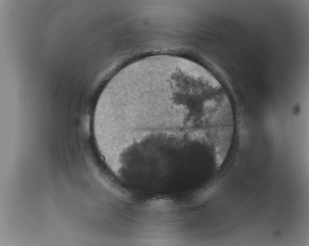 X0000111160067200907211236