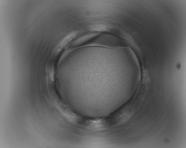 X0000111160068200907211236