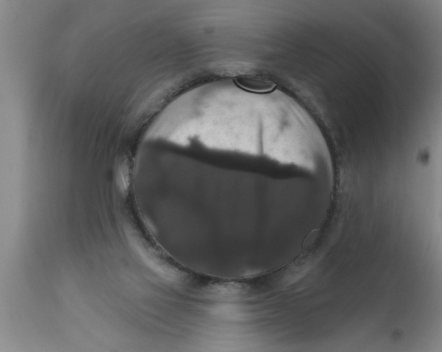 X0000111160069200907211236