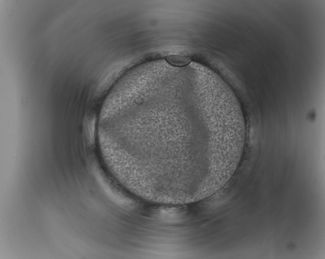 X0000111160070200907211236