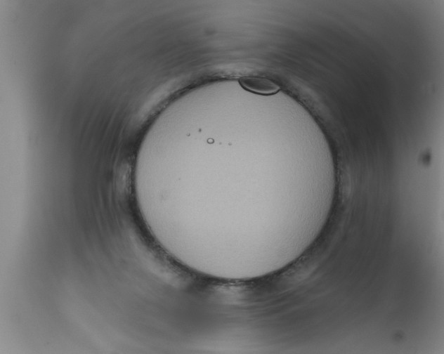 X0000111160071200907211236