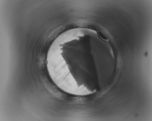 X0000111160073200907211237