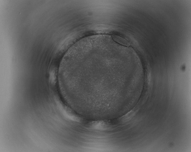 X0000111160074200907211237