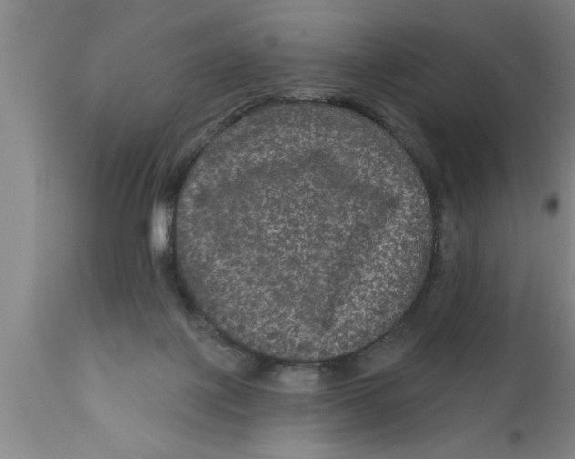 X0000111160075200907211237