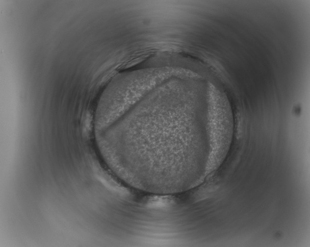 X0000111160077200907211237