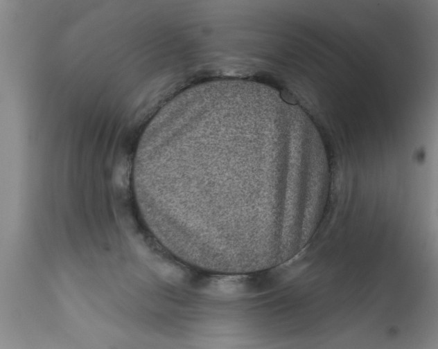 X0000111160078200907211237