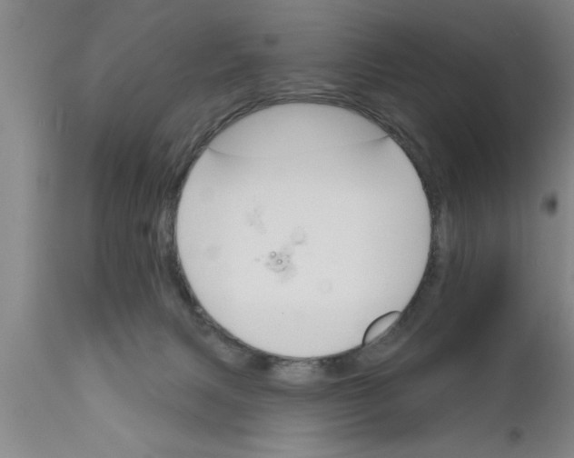 X0000111160079200907211237