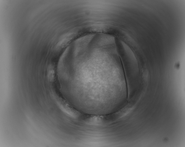 X0000111160080200907211237