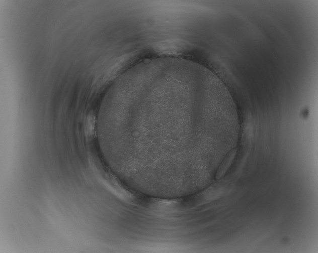 X0000111160081200907211237