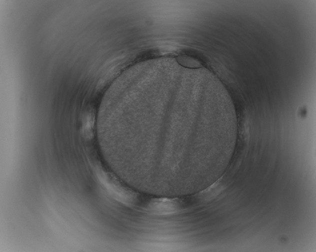 X0000111160082200907211237