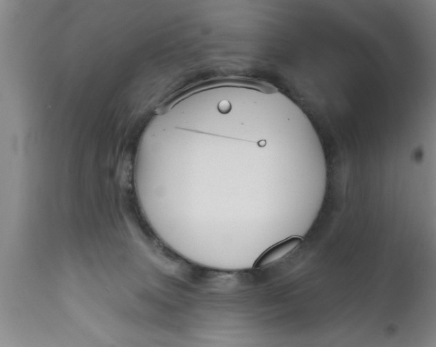 X0000111160083200907211237