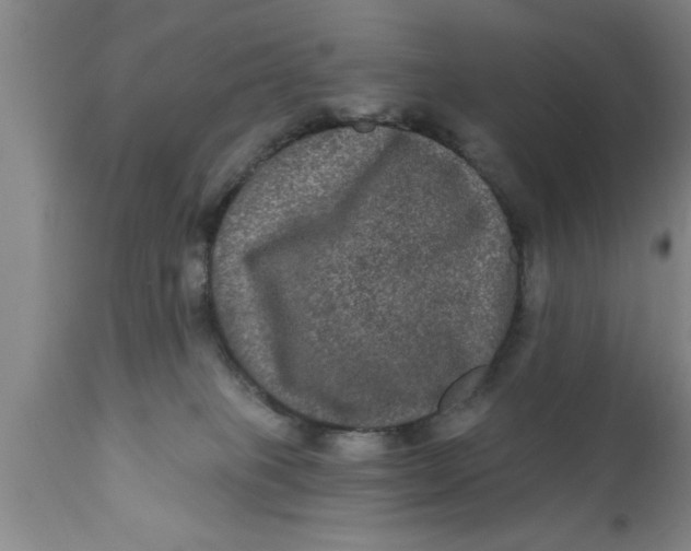 X0000111160085200907211237