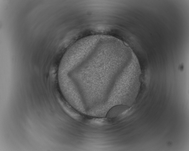 X0000111160086200907211237