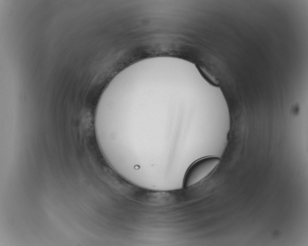 X0000111160087200907211237