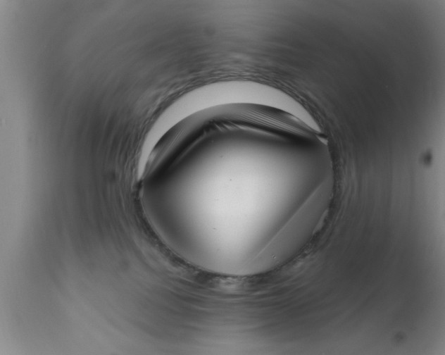 X0000111160088200907211237