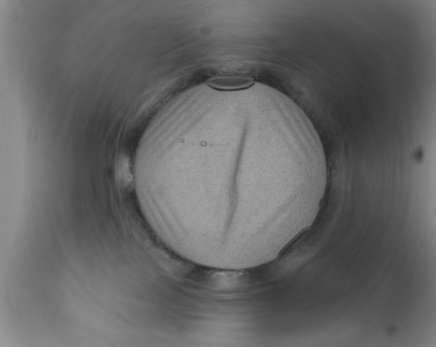 X0000111160089200907211237