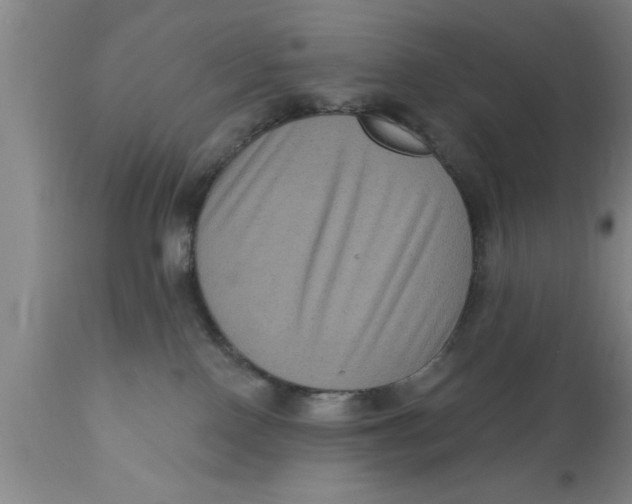 X0000111160090200907211237