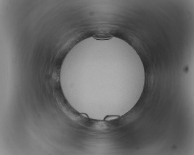 X0000111160091200907211237