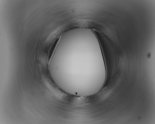 X0000111160092200907211237