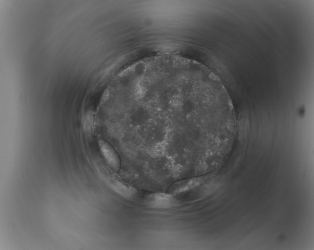 X0000111160093200907211237