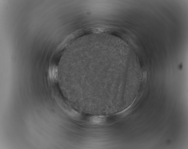 X0000111160094200907211237