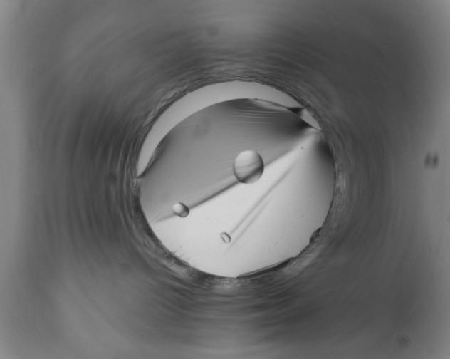 X0000111160096200907211237