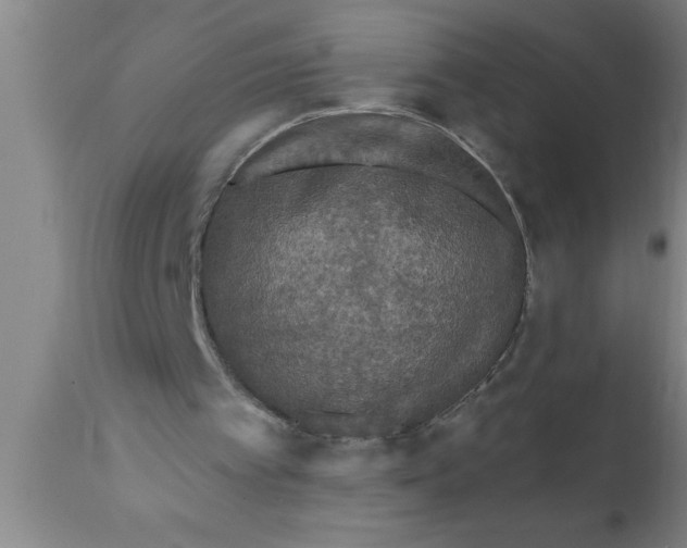 X0000111160097200907211236