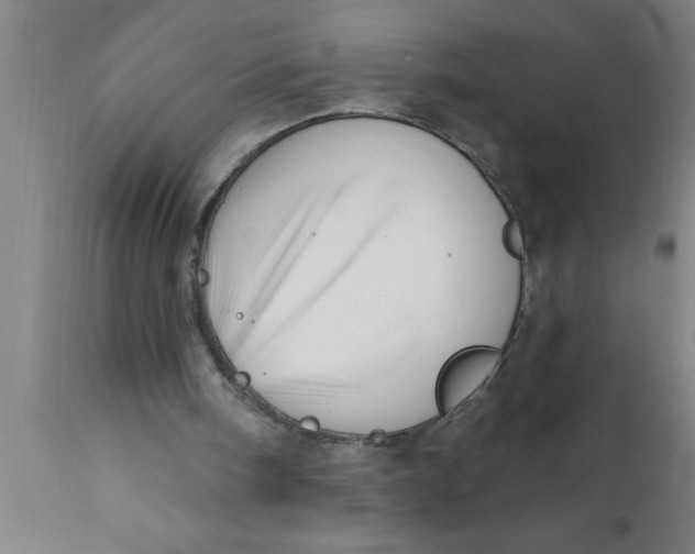 X0000111160098200907211236