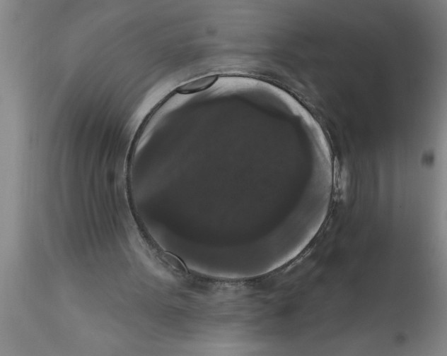 X0000111160099200907211236