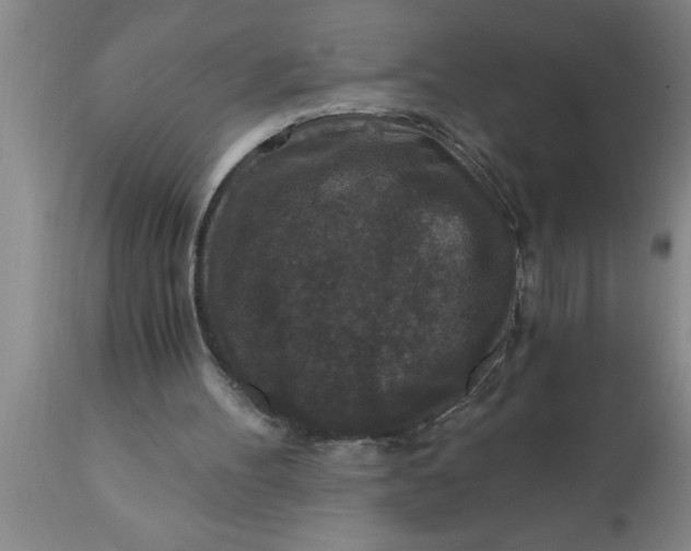 X0000111160100200907211236