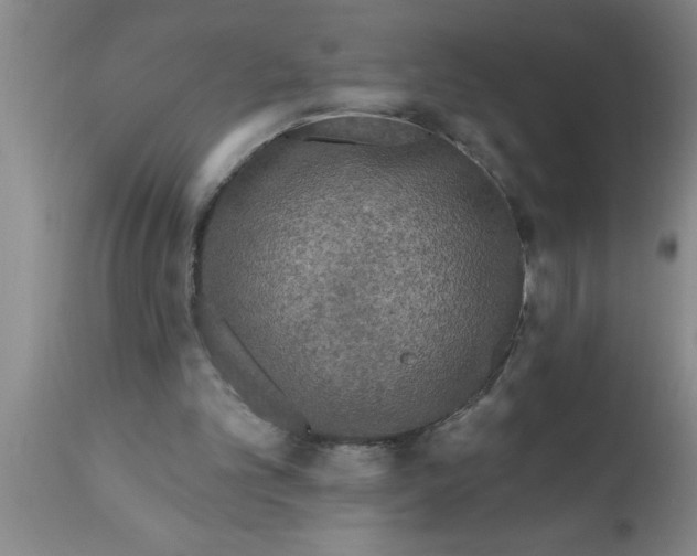 X0000111160101200907211236