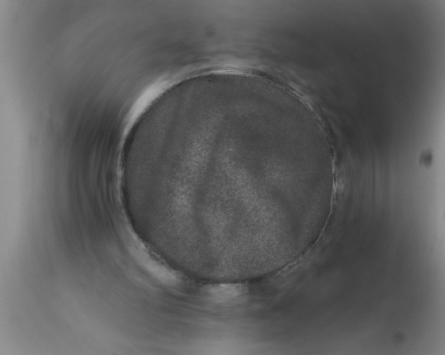 X0000111160102200907211236