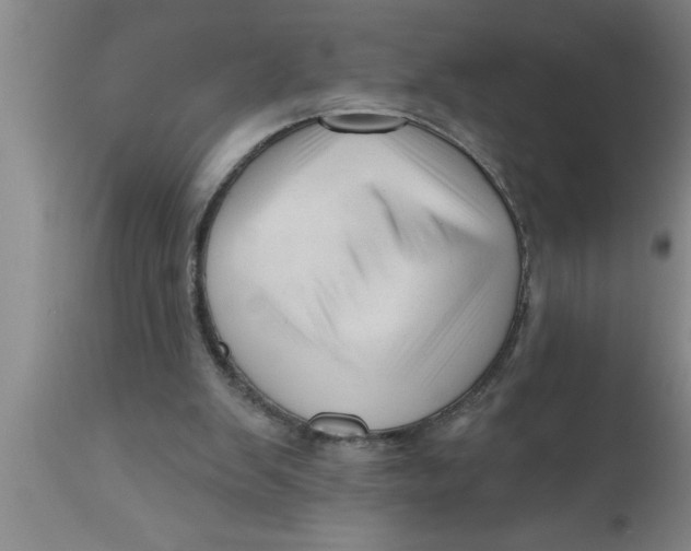 X0000111160103200907211236