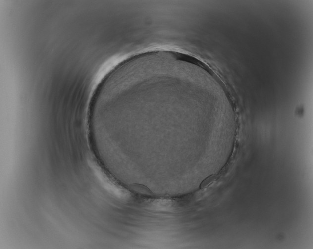 X0000111160104200907211236