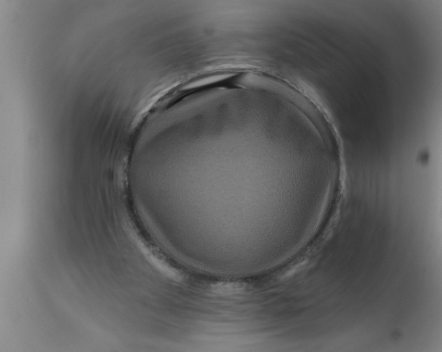 X0000111160105200907211236