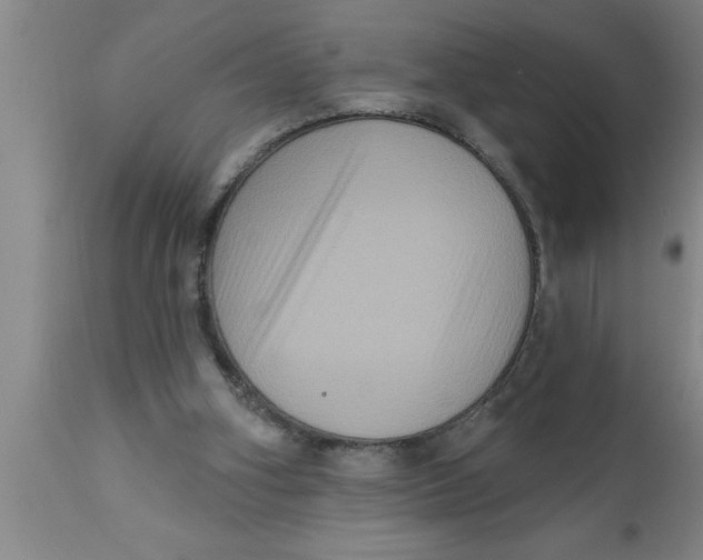 X0000111160106200907211236