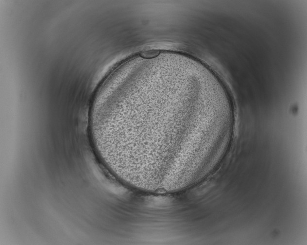 X0000111160107200907211236