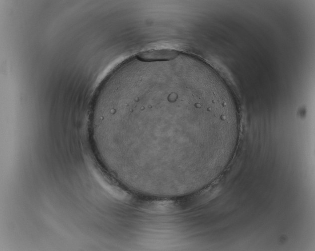 X0000111160108200907211236