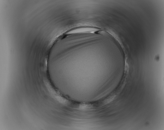 X0000111160109200907211236