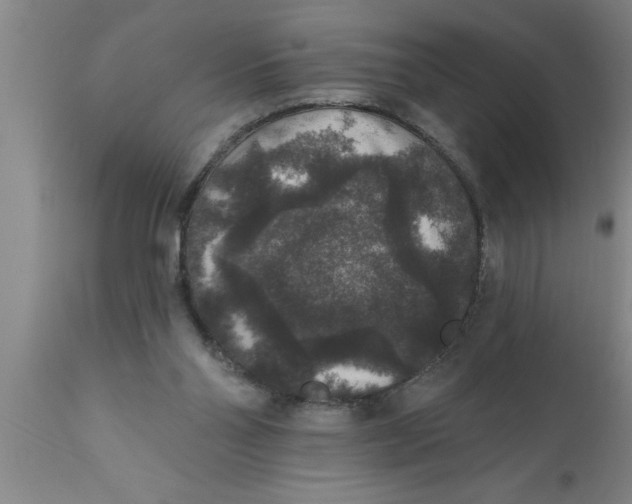 X0000111160110200907211236