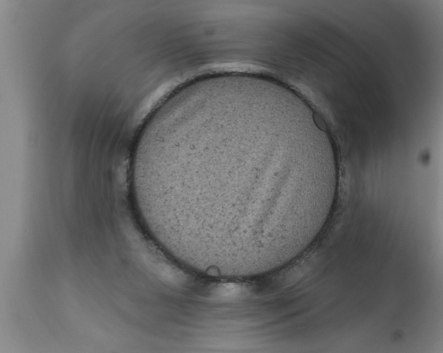 X0000111160111200907211236