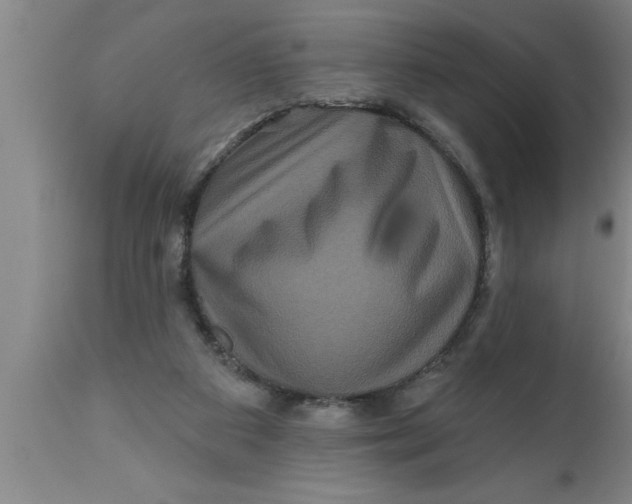 X0000111160113200907211236